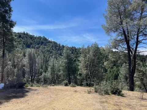 Exterior - 2150 Salt Gulch Rd, Hayfork, CA 96041 photo 4 of 6