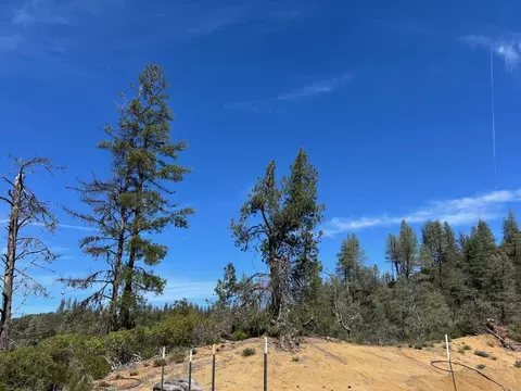 Exterior - 2150 Salt Gulch Rd, Hayfork, CA 96041 photo 5 of 6