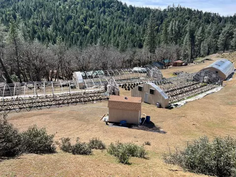 Other - 2150 Salt Gulch Rd, Hayfork, CA 96041 photo 13 of 21