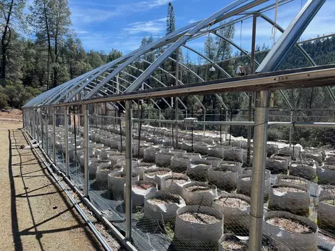 Other - 2150 Salt Gulch Rd, Hayfork, CA 96041 photo 15 of 21