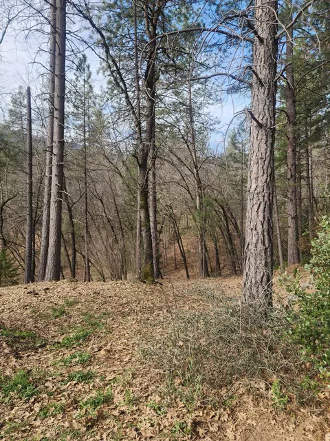 lot34 Doney St, Lakehead, CA 96051