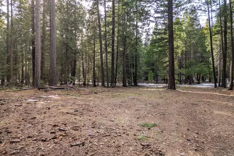 Thatcher Mill Road, Shingletown, CA 96088