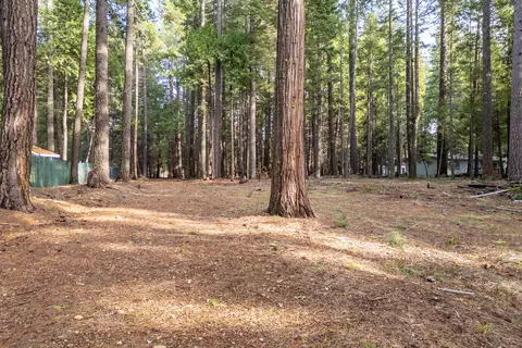 Thatcher Mill Road, Shingletown, CA 96088 photo 7
