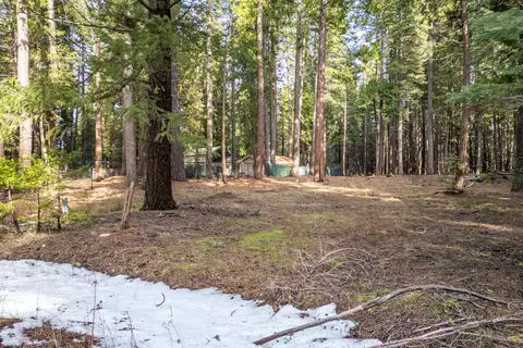 Thatcher Mill Road, Shingletown, CA 96088 photo 10