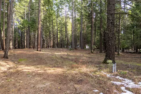 Thatcher Mill Road, Shingletown, CA 96088 photo 6