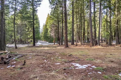 Thatcher Mill Road, Shingletown, CA 96088 photo 8