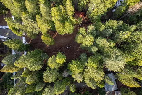 Thatcher Mill Road, Shingletown, CA 96088 photo 12
