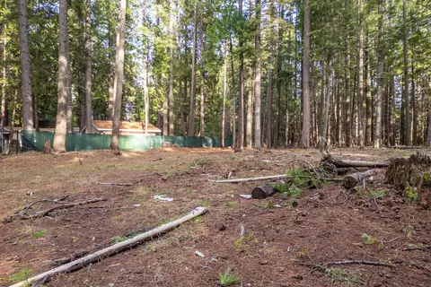 Thatcher Mill Road, Shingletown, CA 96088 photo 9