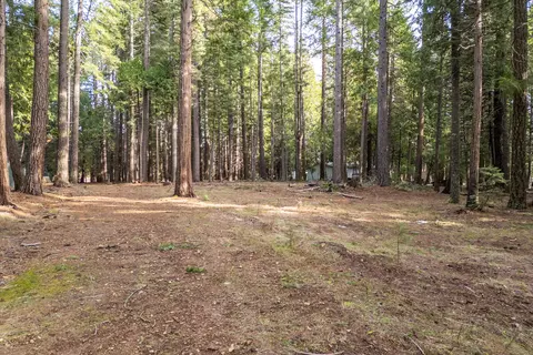 Thatcher Mill Road, Shingletown, CA 96088 photo 4