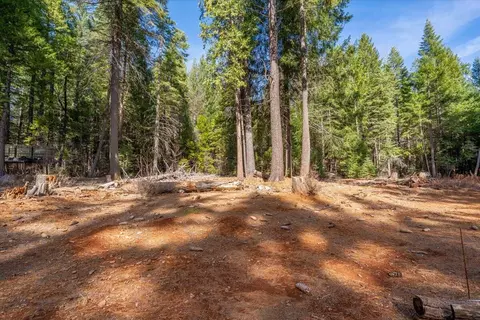 Exterior - 8495 Sky Tree Ln, Shingletown, CA 96088 photo 23 of 24