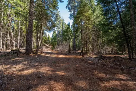 Exterior - 8495 Sky Tree Ln, Shingletown, CA 96088 photo 15 of 24
