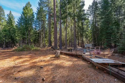 Exterior - 8495 Sky Tree Ln, Shingletown, CA 96088 photo 24 of 24