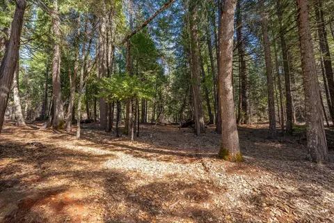 Exterior - 8495 Sky Tree Ln, Shingletown, CA 96088 photo 19 of 24