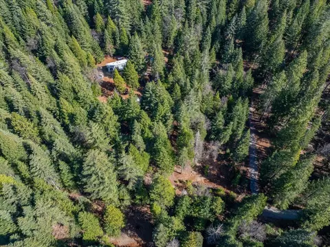 View/Area - 8495 Sky Tree Ln, Shingletown, CA 96088 photo 4 of 4