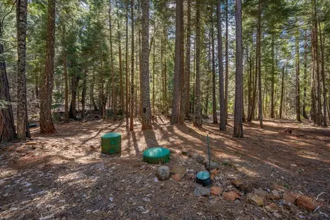 Exterior - 8495 Sky Tree Ln, Shingletown, CA 96088 photo 8 of 24