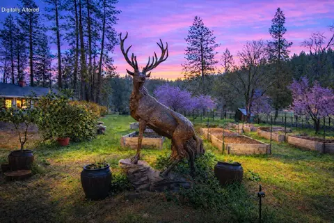 29276 Bullskin Ridge Rd, Oak Run, CA 96069