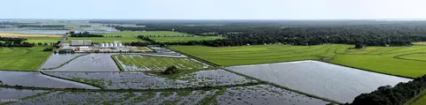 3670 E Stagg Ave, Basile, LA 70515 photo 3