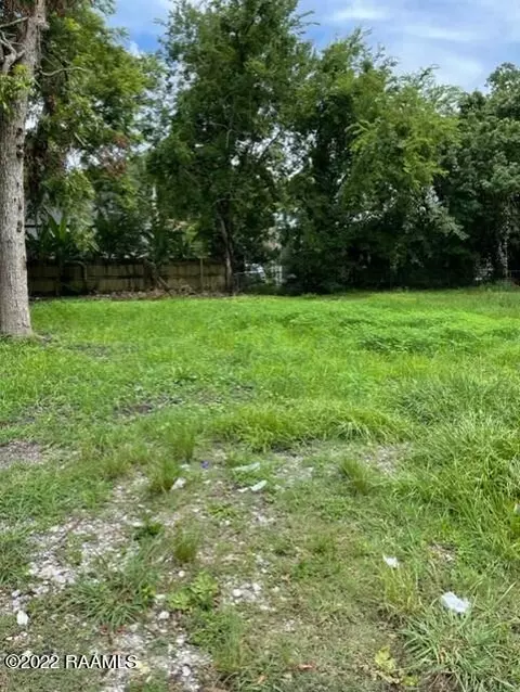 307 Martin Luther King Jr Blvd, Franklin, LA 70538