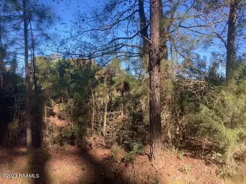 Landry Lane, Eunice, LA 70535 photo 6