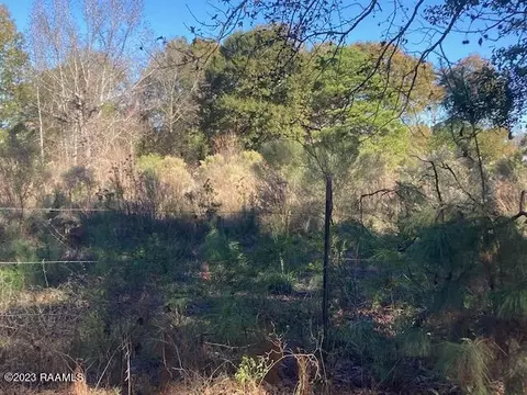 Landry Lane, Eunice, LA 70535 photo 3