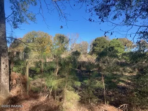 Landry Lane, Eunice, LA 70535 photo 5
