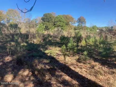 Landry Lane, Eunice, LA 70535 photo 2