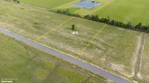 tbd Doc Guidry Rd #5, Cankton, LA 70584