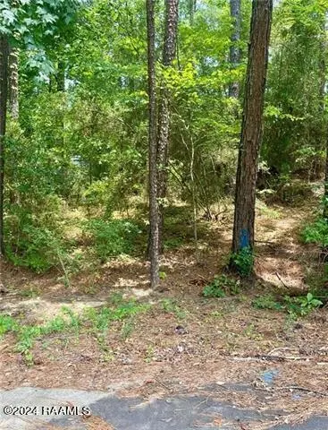 110 Seneca Ct, Pineville, LA 71360