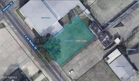 315 E St Peter St, New Iberia, LA 70560