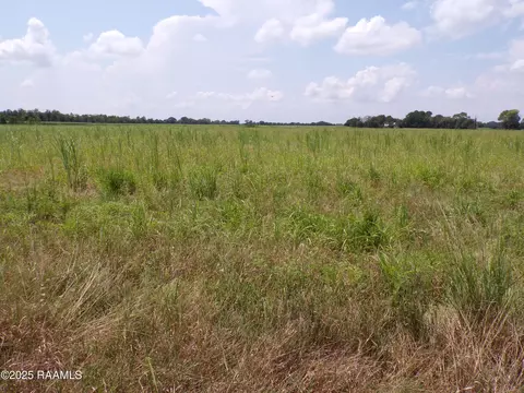 2000 Blk Sellers, Rayne, LA 70578