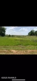 000 Cabrol Rd, Abbeville, LA 70510