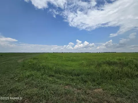 23823 Juniper Rd, Kaplan, LA 70548 photo 23