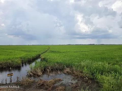 23823 Juniper Rd, Kaplan, LA 70548 photo 7