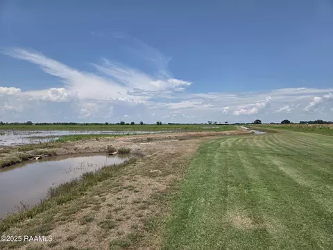 23823 Juniper Rd, Kaplan, LA 70548 photo 12
