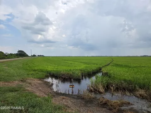 23823 Juniper Rd, Kaplan, LA 70548 photo 24