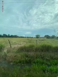 tbd Trailwood Rd, Kaplan, LA 70548