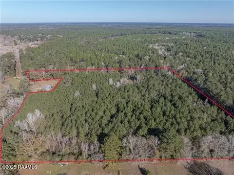 0 East River Rd, Glenmora, LA 71433 photo 14