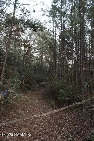 0 East River Rd, Glenmora, LA 71433 photo 5