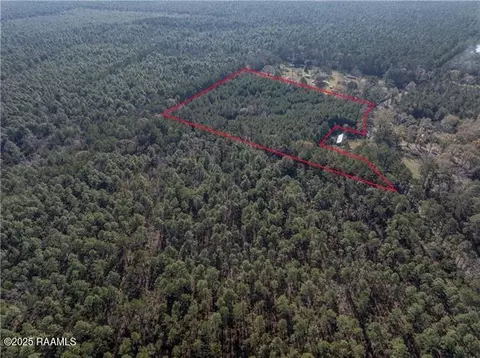 0 East River Rd, Glenmora, LA 71433 photo 9
