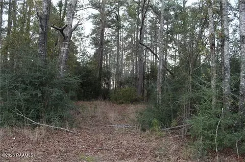 0 East River Rd, Glenmora, LA 71433 photo 3