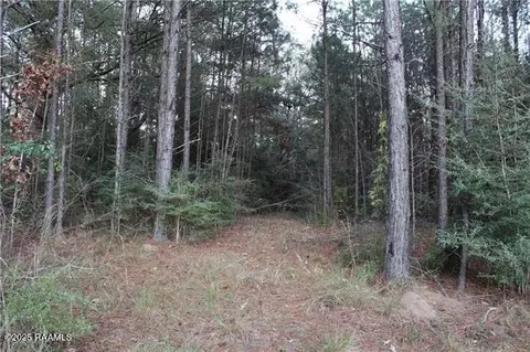 0 East River Rd, Glenmora, LA 71433 photo 4
