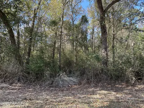 Hoffpauir Road, Gueydan, LA 70542