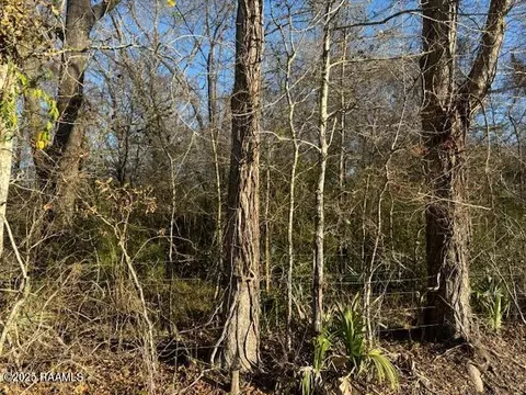 Heard Sylvester Road, Washington, LA 70589