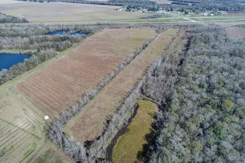 100 Ratcliff Ln, Franklin, LA 70538 photo 6