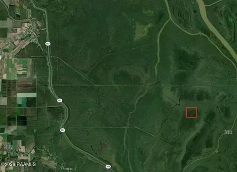 tbd Bayou Benoit Levee Rd, Saint Martinville, LA 70582
