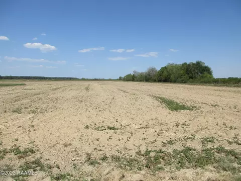 tbd Ronald- Tract D Rd, Basile, LA 70515
