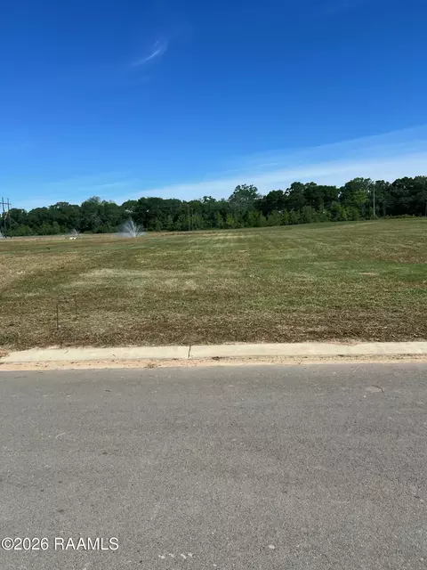 201 Castle Vine Way, Lafayette, LA 70508