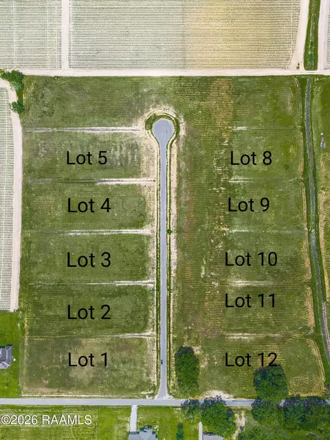 3910 Chemin Belle Terre, Maurice, LA 70555