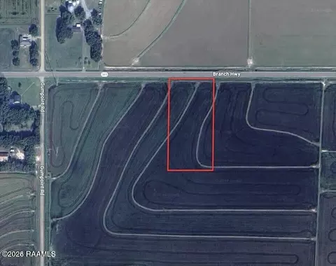 000 Branch Hwy #LOT 4, Branch, LA 70516