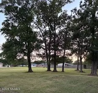 2508 Budwood Drive Dr, Abbeville, LA 70510